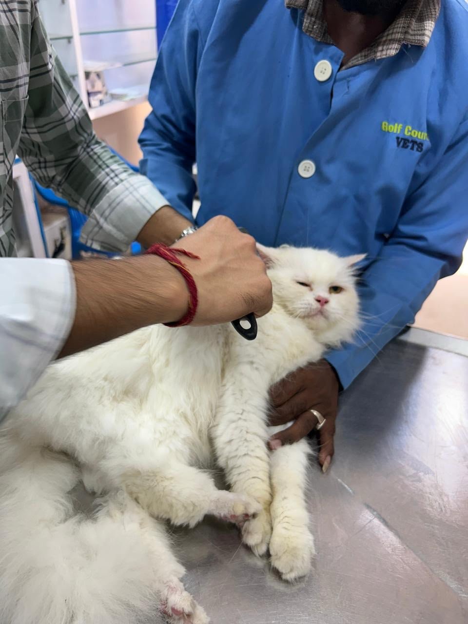 Dental Care